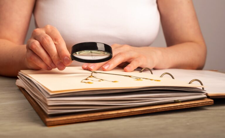 Obchody Dnia Krajowej Administracji Skarbowej w&nbsp;Zielonej Górze