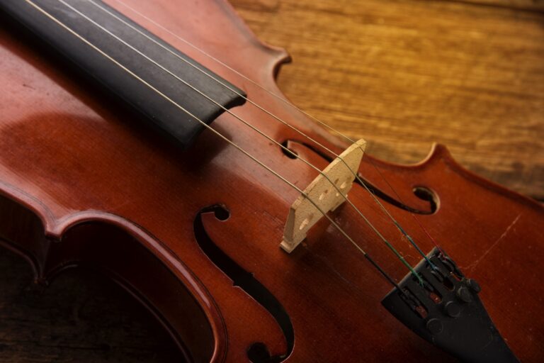 Zespół Camerata Trio z&nbsp;koncertem w&nbsp;Ogrodzie Botanicznym