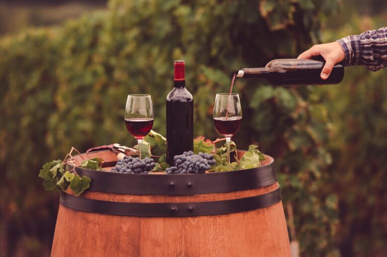 V&nbsp;Lubuski Festiwal Otwartych Piwnic i&nbsp;Winnic – święto wina w&nbsp;Zielonej Górze